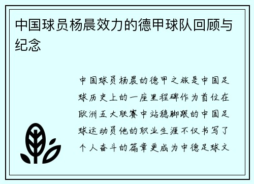 中国球员杨晨效力的德甲球队回顾与纪念